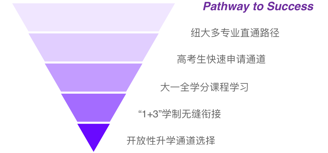 美国纽约大学1.png