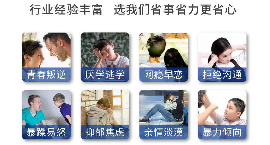 行业经验丰富 选我们省时省力更省心.png