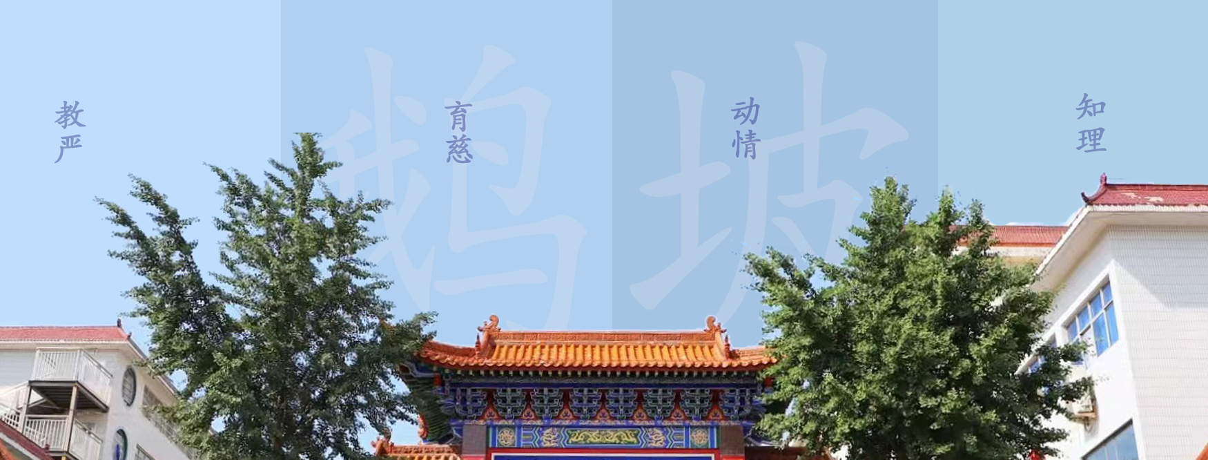 banner.jpg